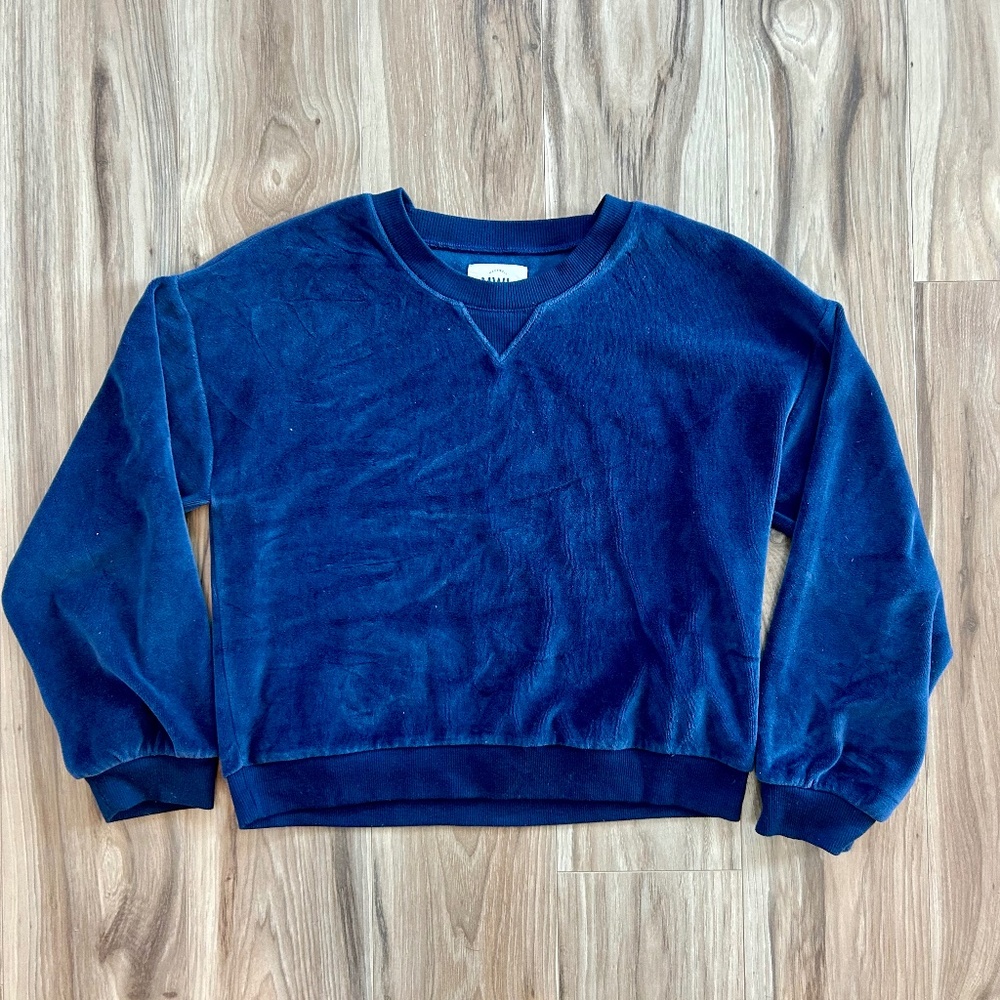 Madewell velour sweatshirt